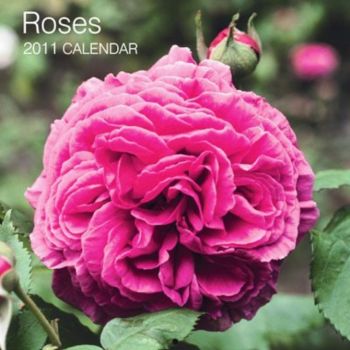 ROSES 2011. /стенен календар/