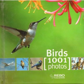 BIRDS: 1001 Photos. “REBO“