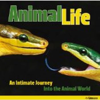 ANIMAL LIFE. An Intimate Journey into the Animal