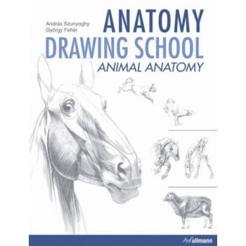 ANATOMY DRAWING SCHOOL: Animal.