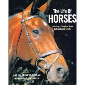 LIFE OF HORSES_THE. (Jane Roddam), “BB“