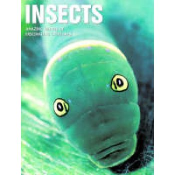 INSECTS. (MICHAEL CHINERY)