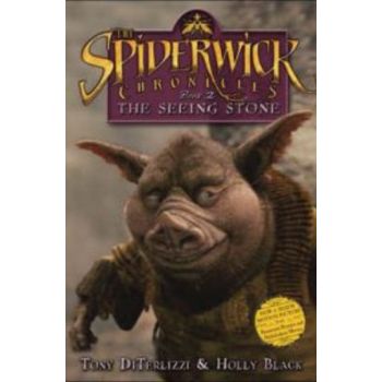 SPIDERWICK CHRONICLES_THE: Book 2: The Seeing St