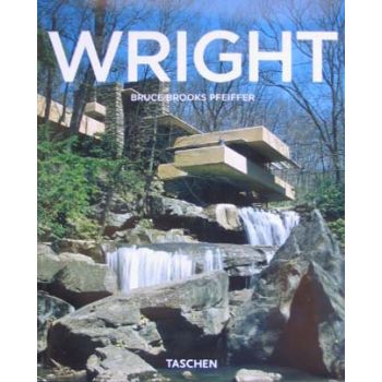 WRIGTH. “Back to Visual Basics“