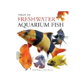 FOCUS ON FRESHWATER AQUARIUM FISH. (G.Rogers, N.