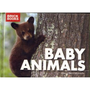 BRICK BOOK ANIMALS.