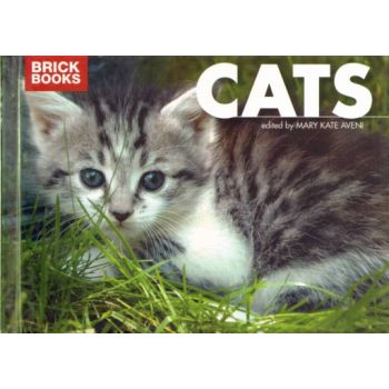 BRICK BOOK CATS.