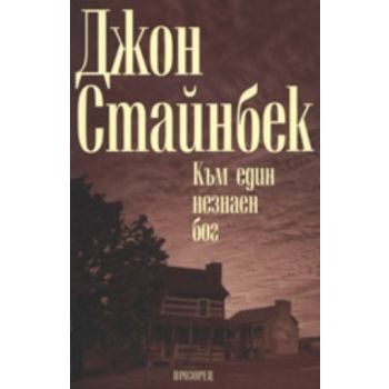 Към един незнаен бог. (Джон Стайнбек), “Прозорец