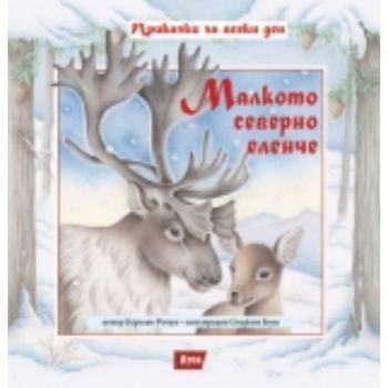 Малкото северно еленче. (Каролин Репчук, илюстра