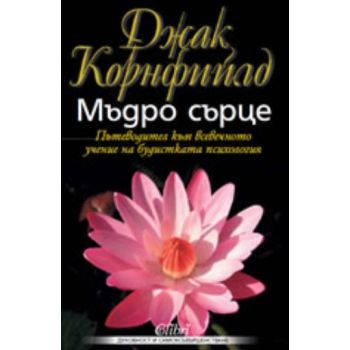 Мъдро сърце. (Джак Корнфийлд), “Колибри“