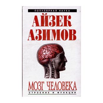 Мозг человека. Строение и функции