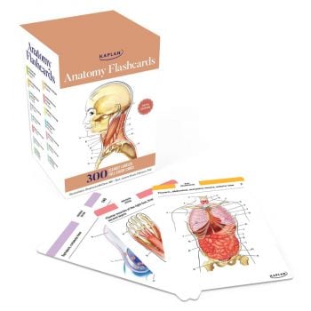Anatomy Flashcards