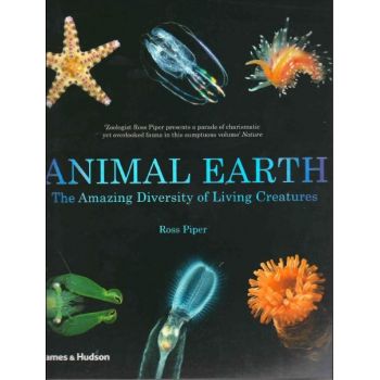 ANIMAL EARTH