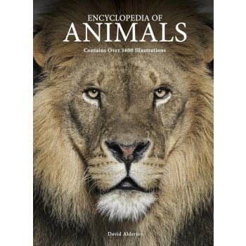 Animals (Illustrated Encyclopedia)