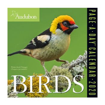AUDUBON BIRDS PAGE-A-DAY CALENDAR 2020