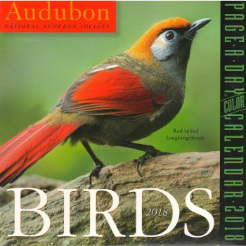 AUDUBON BIRDS PAGE-A-DAY CALENDAR 2018