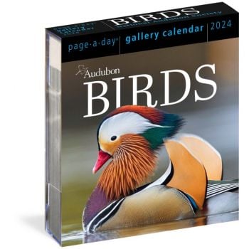 AUDUBON BIRDS PAGE-A-DAY GALLERY CALENDAR 2024