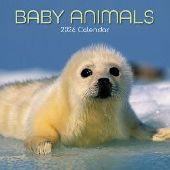 Baby Animals. 16-Month Square Wall Calendar 2026