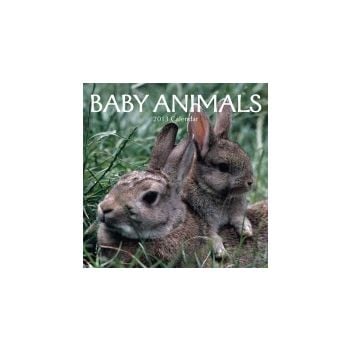 BABY ANIMALS 2013. /стенен календар/
