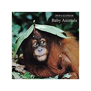 BABY ANIMALS 2018. /стенен календар/