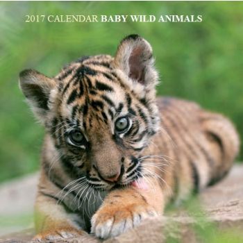 BABY WILD ANIMALS 2017. /стенен календар/