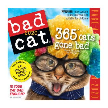 BAD CAT PAGE-A-DAY CALENDAR 2020