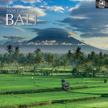 BALI 2020. /стенен календар/
