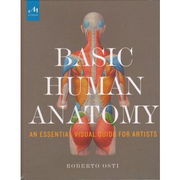 BASIC HUMAN ANATOMY: An Essential Visual Guide for Artists