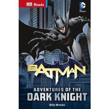 DC COMICS BATMAN ADVENTURES OF THE DARK KNIGHT