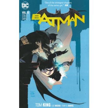 BATMAN: Cold Days, Volume 8