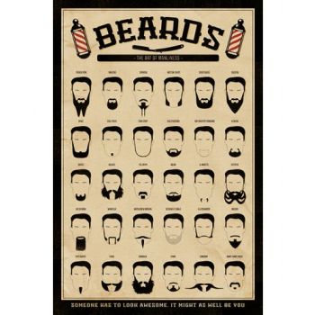 BEARDS (THE ART OF MANLINESS) MAXI POSTER
