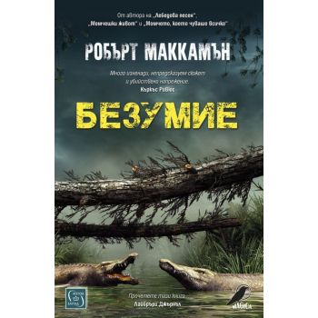 Безумие