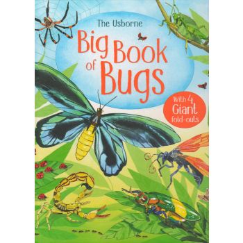 BIG BOOK OF BUGS