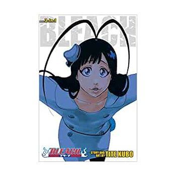 BLEACH (3-in-1 Edition), Vol. 22