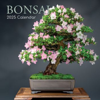 Bonsai 16-Month Square Wall Calendar 2025