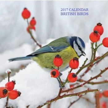BRITISH BIRDS 2017. /стенен календар/