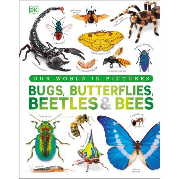 Bugs, Butterflies, Beetles and Bees