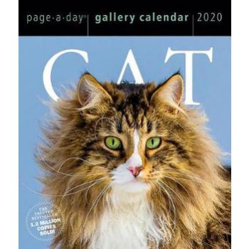 CAT PAGE-A-DAY GALLERY CALENDAR 2020