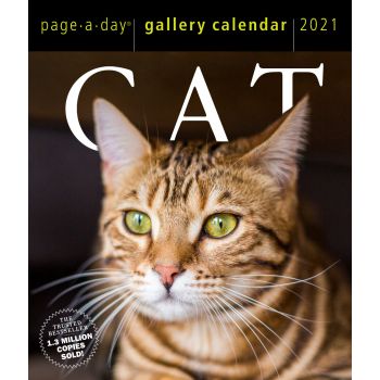 CAT PAGE-A-DAY GALLERY CALENDAR 2021