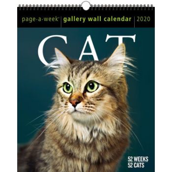 CAT PAGE-A-WEEK GALLERY CALENDAR 2020. /стенен календар/