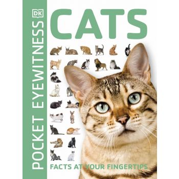 CATS: Facts at Your Fingertips
