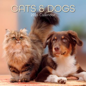 Cats & Dogs. 16-Month Square Wall Calendar 2026
