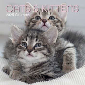 Cats & Kittens 16-Month Square Wall Calendar 2025