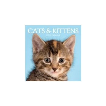 CATS & KITTENS 2013. /стенен календар/