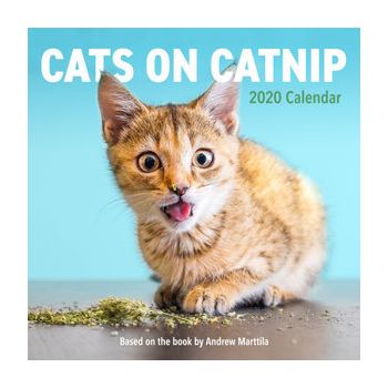 CATS ON CATNIP CALENDAR 2020. /стенен календар/
