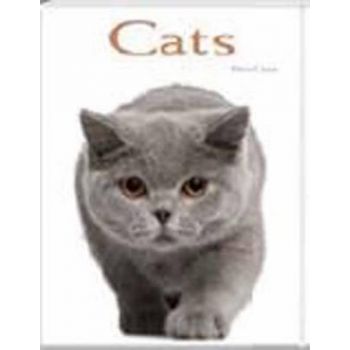 CATS: POCKET BOOK