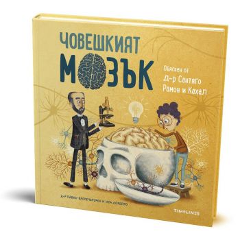 Човешкият мозък