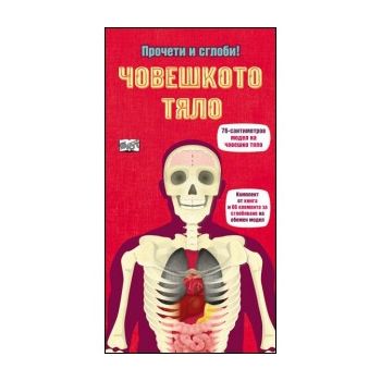 Прочети и сглоби! Човешкото тяло