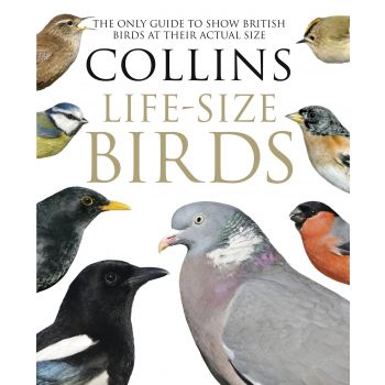 COLLINS LIFE-SIZED BIRDS: The Only Guide to Show British Birds at Their Actual Size