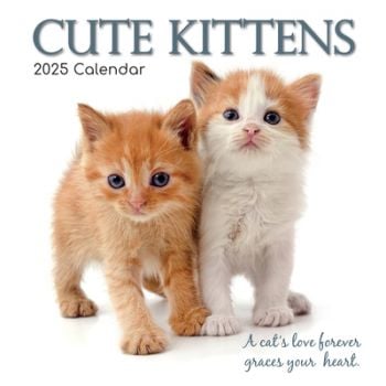 Cute Kittens 16-Month Square Wall Calendar 2025